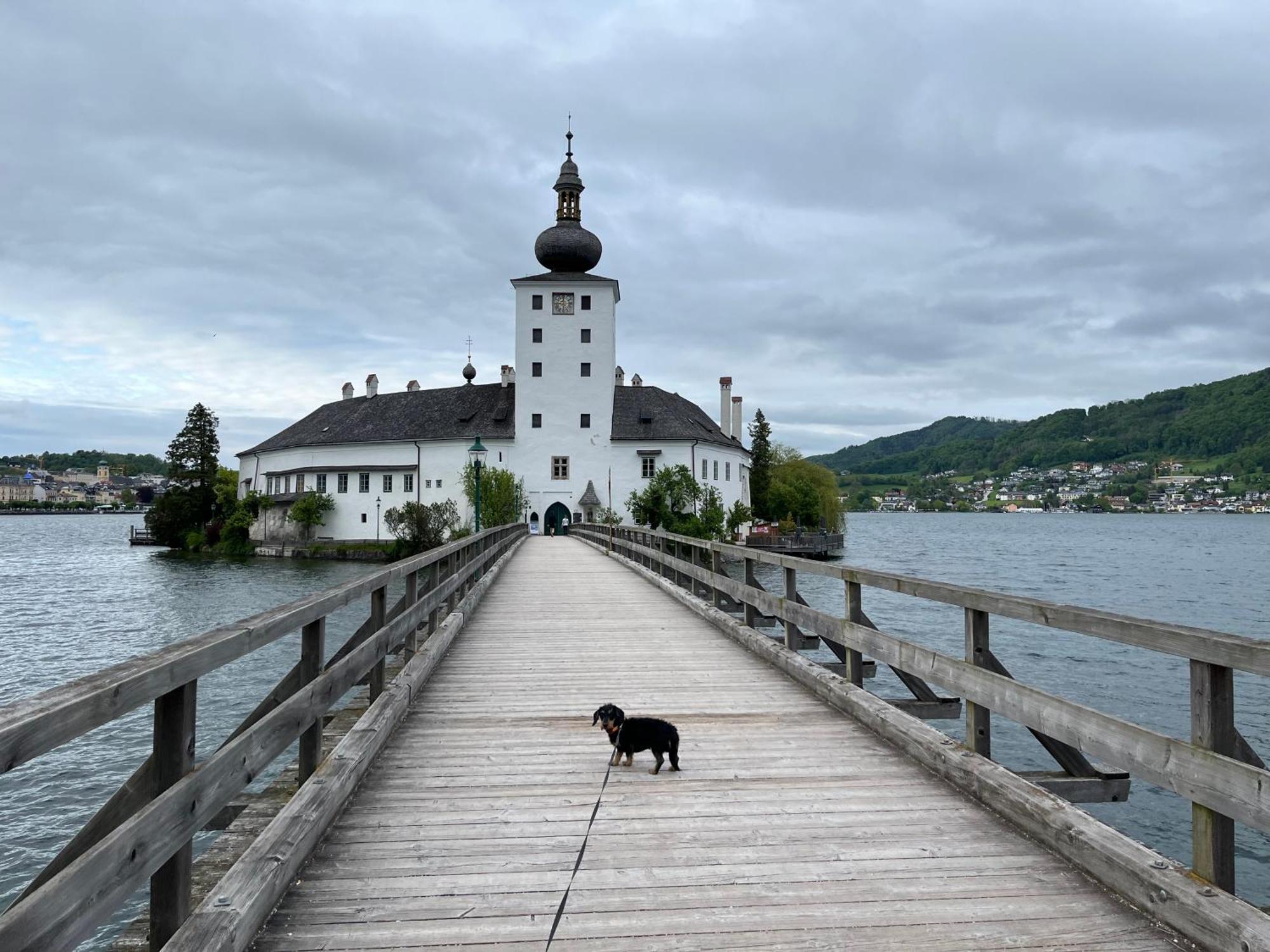Altstadtjuwel In Am Traunsee Appartement Gmunden